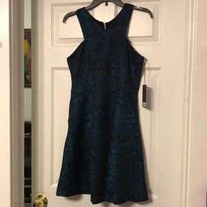NWT Jennifer Lopez Blue/Black Snake Print Dress